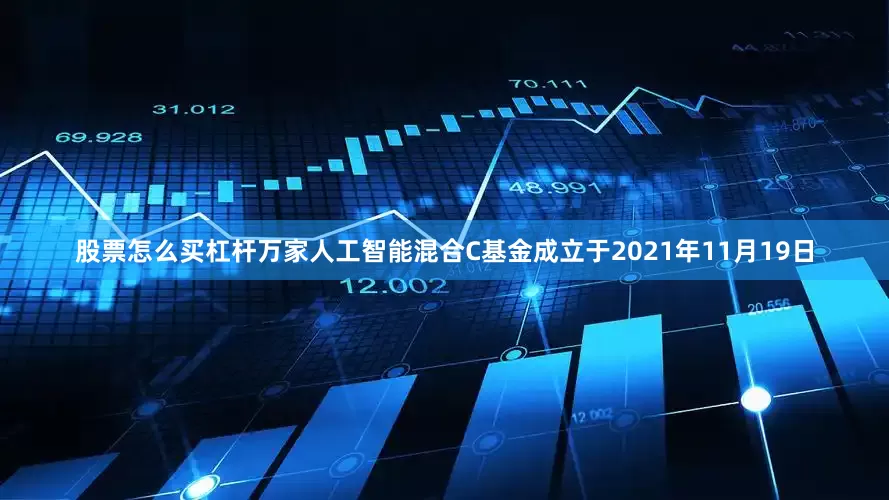 股票怎么买杠杆万家人工智能混合C基金成立于2021年11月19日