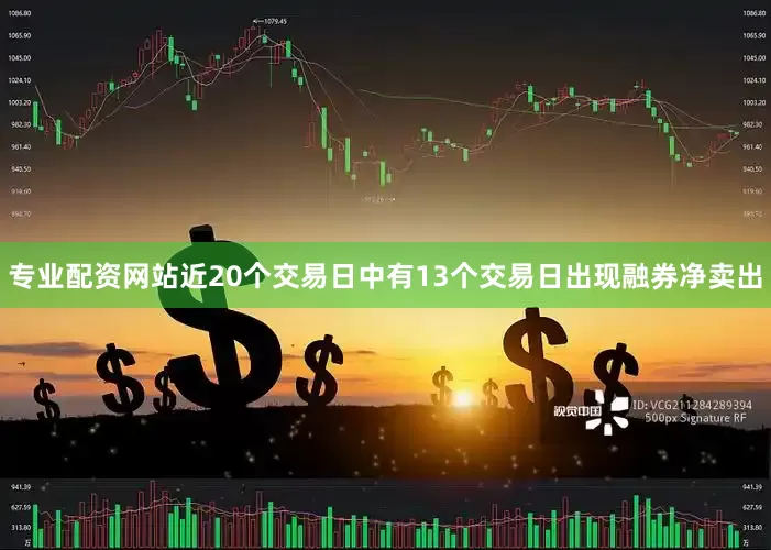 专业配资网站近20个交易日中有13个交易日出现融券净卖出