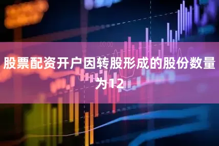 股票配资开户因转股形成的股份数量为12