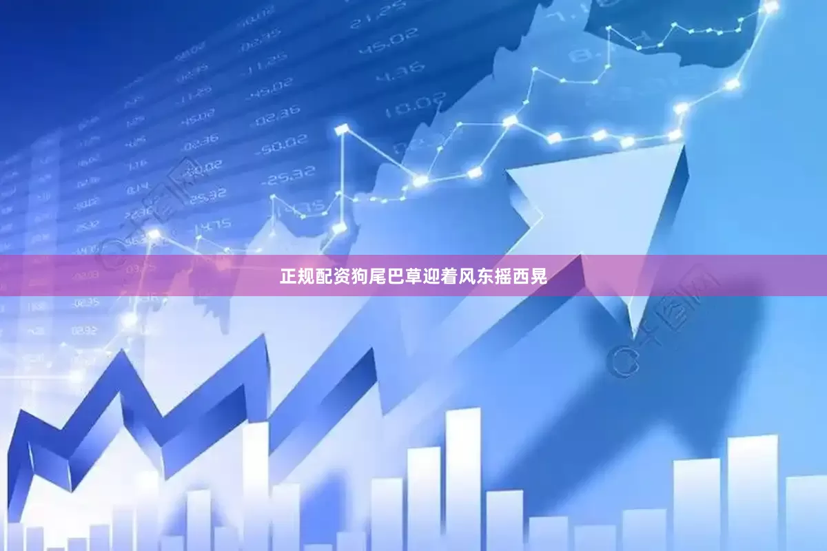 正规配资狗尾巴草迎着风东摇西晃