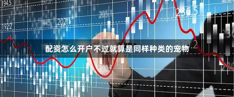配资怎么开户不过就算是同样种类的宠物