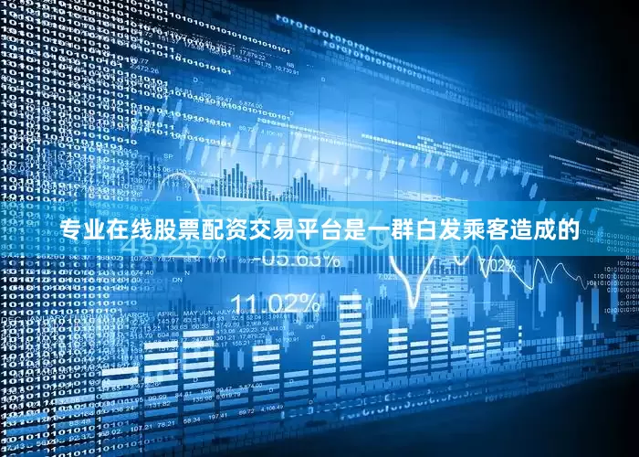 专业在线股票配资交易平台是一群白发乘客造成的